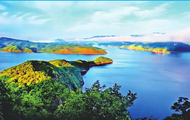 开放的林口欢迎您