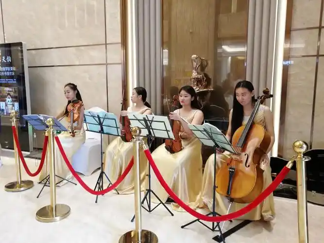 精彩的小提琴表演