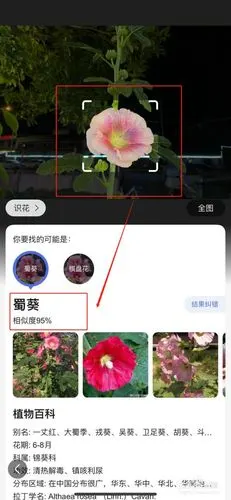 稍等几秒后就可以看到识别结果了.