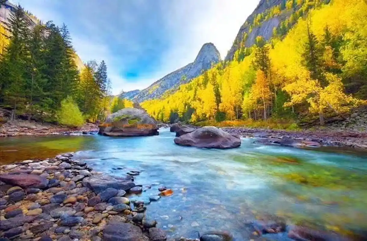 秋天的新疆,一草一木皆风景,从一望无际的路和湛蓝的天空开始,秋的