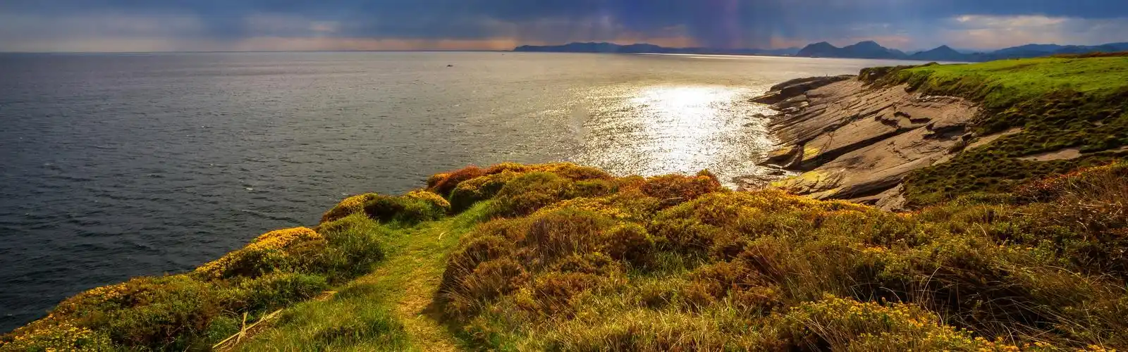 草,海,海岸,阳光 壁纸 草,海,海岸,阳光 桌布 - 3840x1200 双屏全景