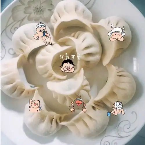我的花样饺子萌萌哒