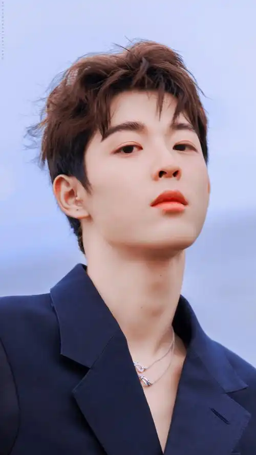 吴宇恒梦回海花岛