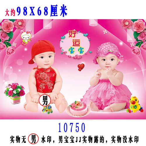 龙凤宝宝海报照片可爱娃娃壁纸男婴儿画双胞胎教早教超大图片墙贴 s10