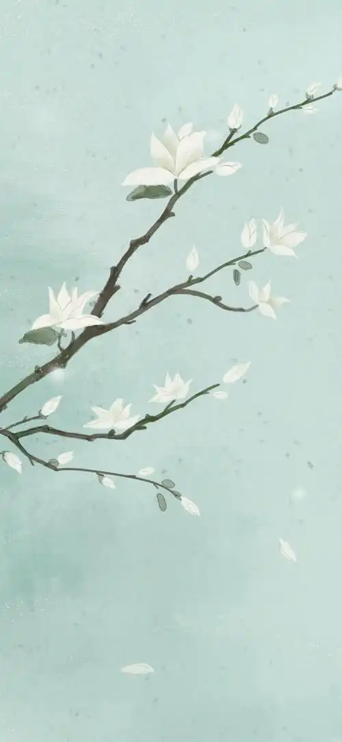 高清手机壁纸‖中国风-玉兰花开在霓裳片片晚妆新