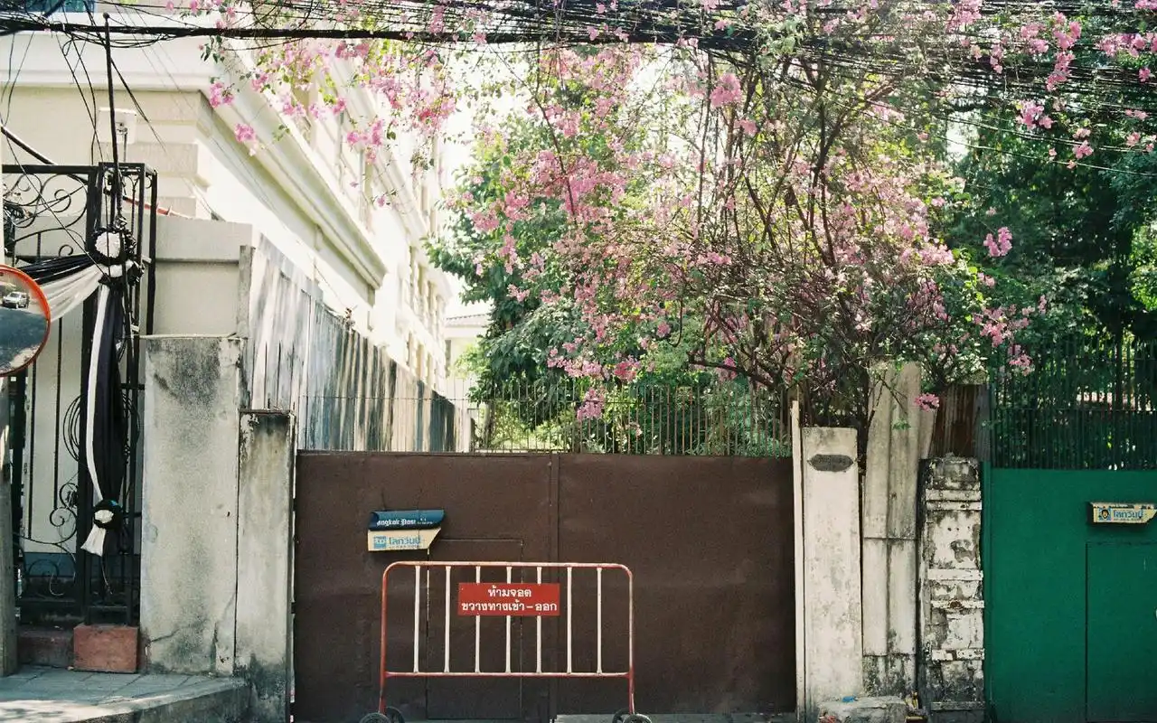 小清新日系唯美桌面壁纸