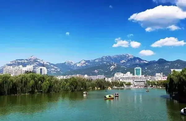 新增60亿元债券进行城市建设2019年泰安市民生支出占一般公共预算支出