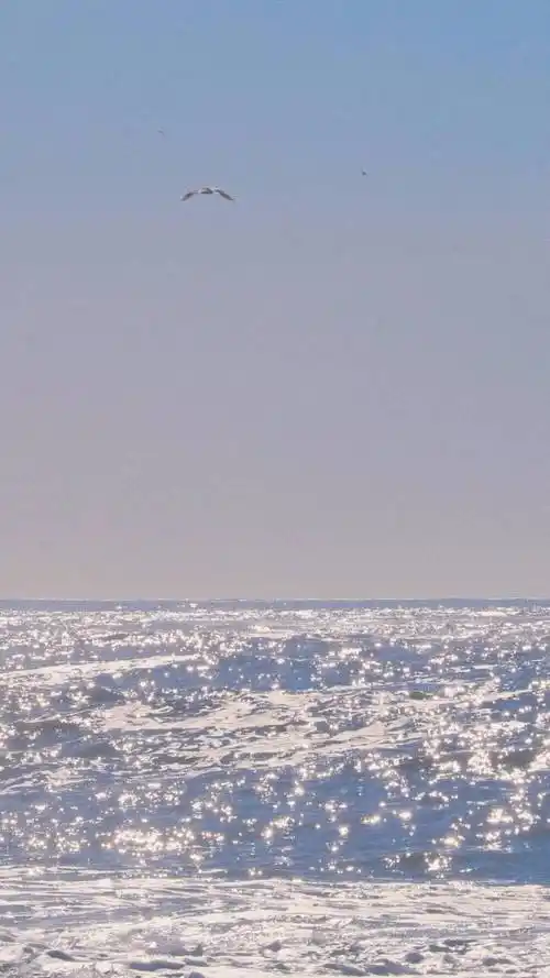 【简约ins壁纸】