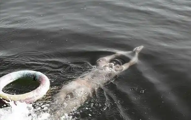 野游很危险,水性好却游泳时淹死的人,一般都是因为哪些原因?|溺水_网