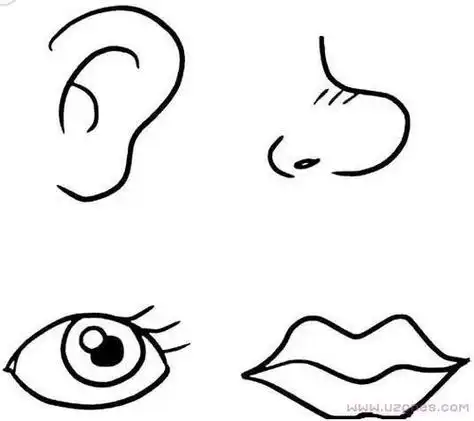 五官简笔画图片 五官简笔画图片幼儿