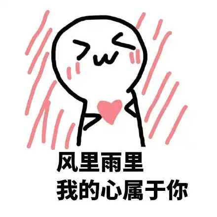 风里雨里,我的心属于你-qq表情包-聊天图片表情