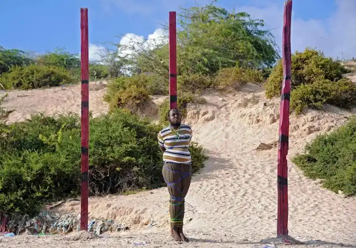 大西洋月刊2016年度图片