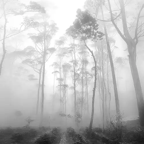 黑白色线描风景艺术唯美ppt背景图片下载