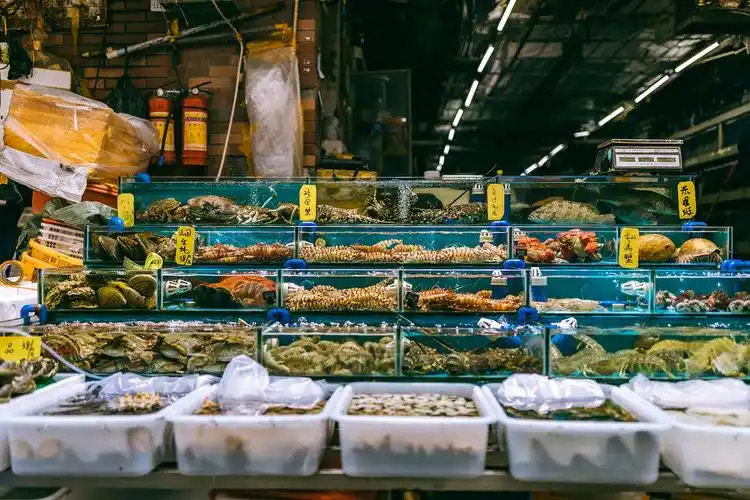 广州菜市场卖的都是生猛海鲜  图源:视觉中国