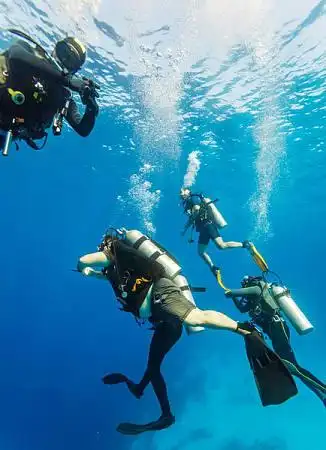 潜水图片_图片大全