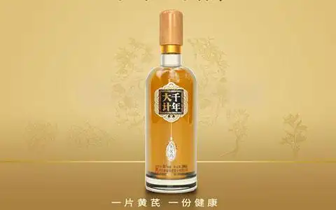 发现美酒千年大计黄芪酒