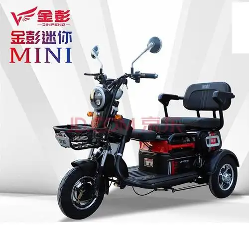 金彭 电动三轮车老年电瓶车成人代步家用拉货接送孩子三座迷你车350w