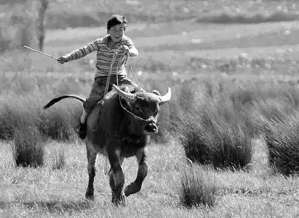 太怀念了40张童年生活老照片有你的记忆吗