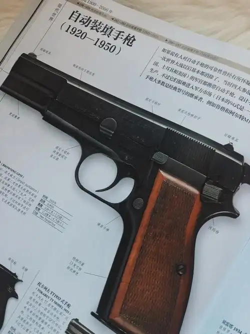 能让军事迷全程哇塞的就只有dk武器大百科了