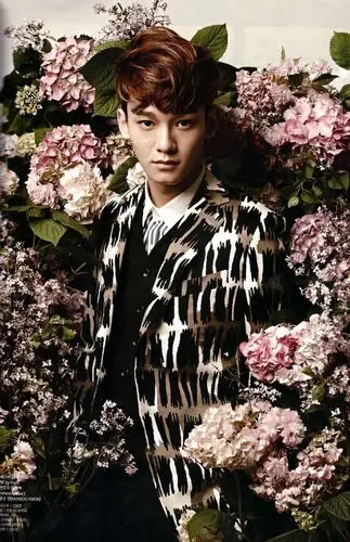 韩国超人气组合exo花美男画报写真 男团exo美图写真图片_明星_美桌网