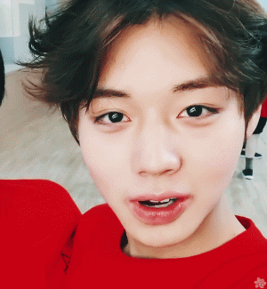 300_325gif 动态图 动图