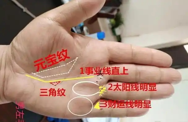 富贵手相的6种奇纹(看手相算命图解)