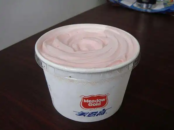 在90年代里,它可谓是雪糕界的"贵族",别的都还只是2角,5角的价格,它