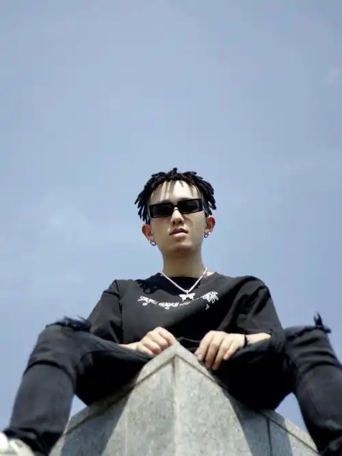 纯真发盆栽款小脏辫