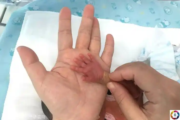 怀孕十个月体重增长表