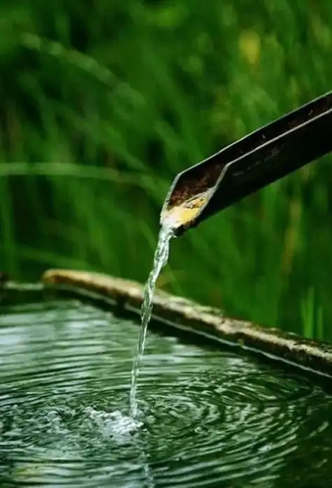 一颗平常心去淡然,一颗安静心去喜悦,平静地守候这个世界.