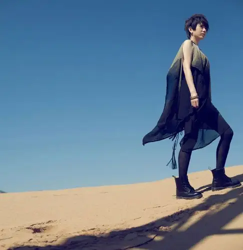 找刘忻新专辑图片