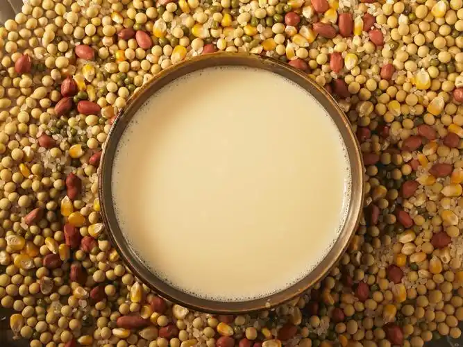 p>五谷豆浆的用料包括 a href="#" data-lemmaid="879436">传统 /a>