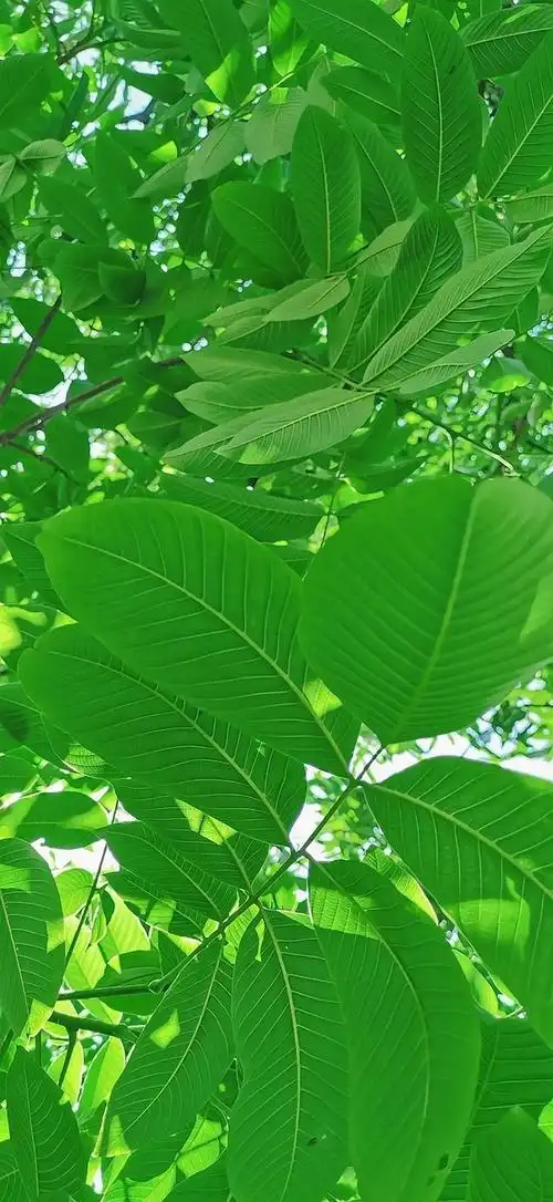 600_1303竖版 竖屏