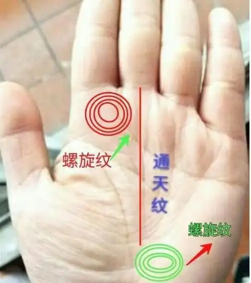 手相说你是传说中的天选之子吗