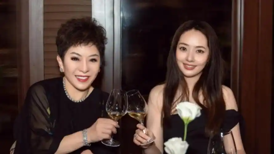 向太陈岚谈最好的婆媳关系:各过各的,但要尊重婆婆