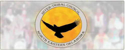 welcome to pelivan transits new website.