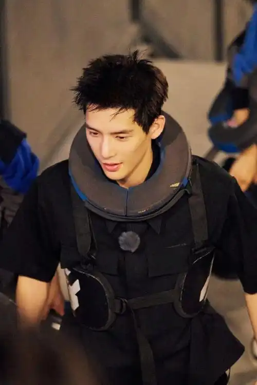 王安宇像在rua狗