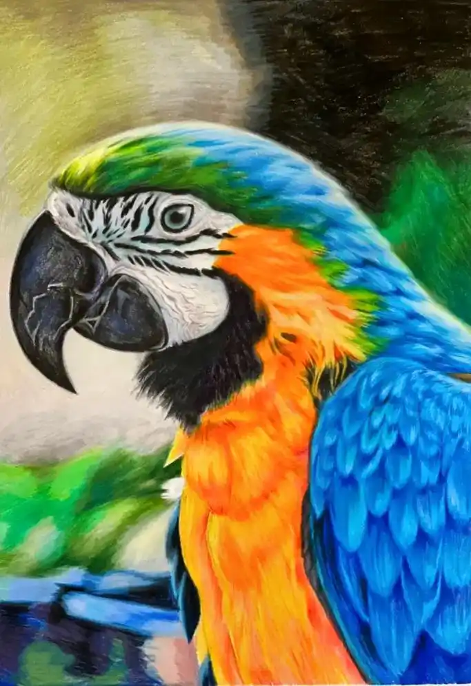 鹦鹉彩铅手绘附步骤#画画 #手绘 #彩 - 抖音