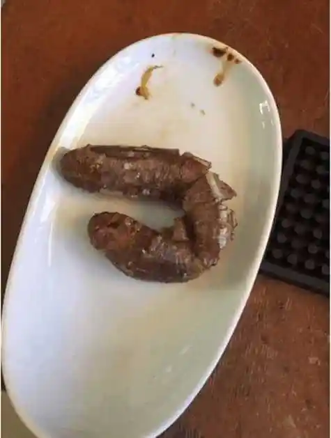 作品一个比一个恶心, 让人食欲全无_网易订阅