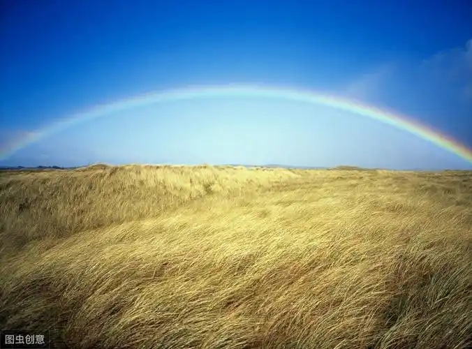 治愈系的唯美句子,阳光闪亮,带给我新的希望!