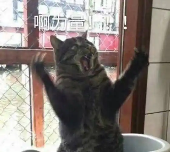 这种人永远不会撒泡尿照照自己表情包-日常表情包