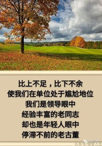 人生有一种心累它的名字叫人到中年句句戳心