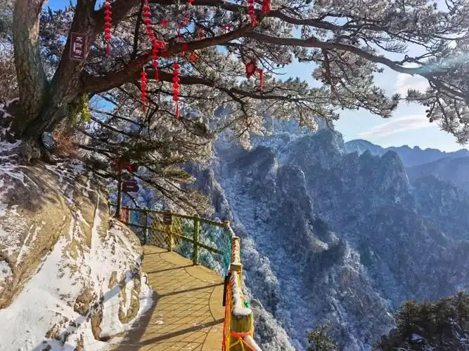 冰挂成群南阳老界岭雪后雾凇引围观