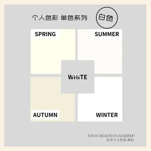 个人色彩四季类型 单色系列 【白色】