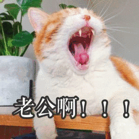 老公啊!_老公表情