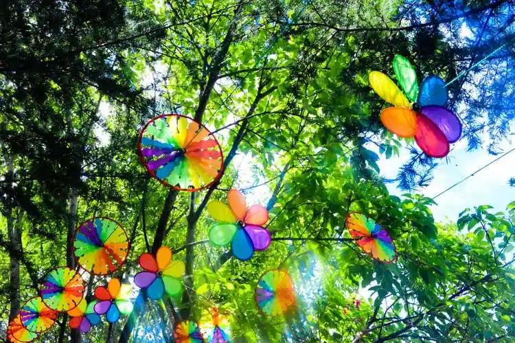 十万只风车亮相大理罗荃半岛这个风车节有意思