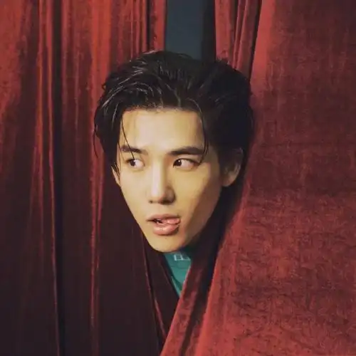 微信头像王安宇