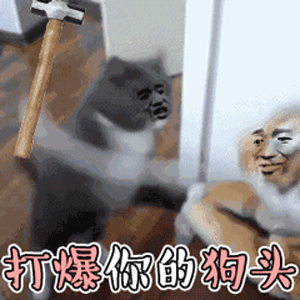 300_300gif 动态图 动图