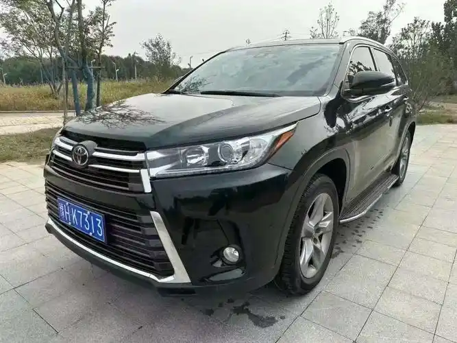 丰田 汉兰达  2020款 2.0t 四驱百万纪念版 7座图片