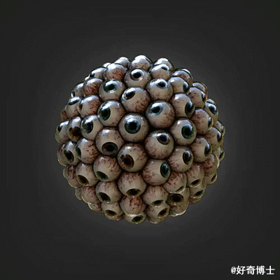 有密集恐惧症的童鞋慎点被很多眼睛注视是神马赶脚